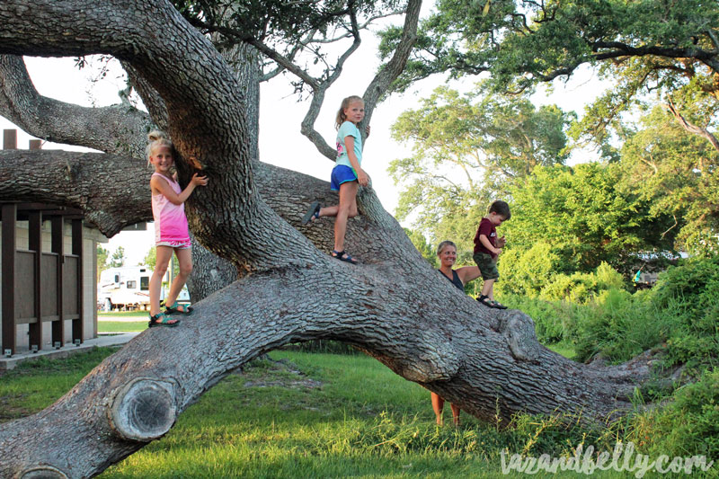 Gulf Shores Vacation | tazandbelly.com