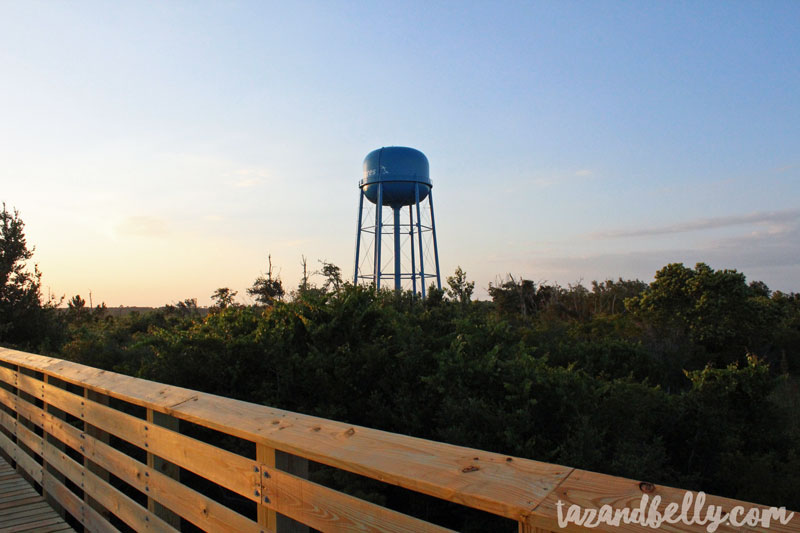 Gulf Shores Vacation | tazandbelly.com