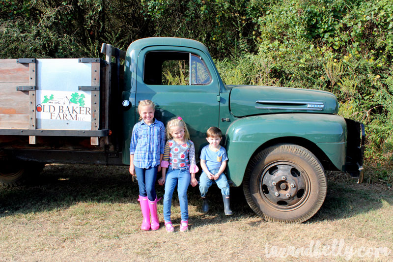 Old Baker Farm Pumpkin Patch | tazandbelly.com