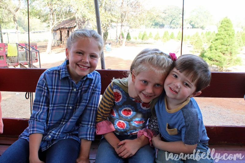 Old Baker Farm Pumpkin Patch | tazandbelly.com