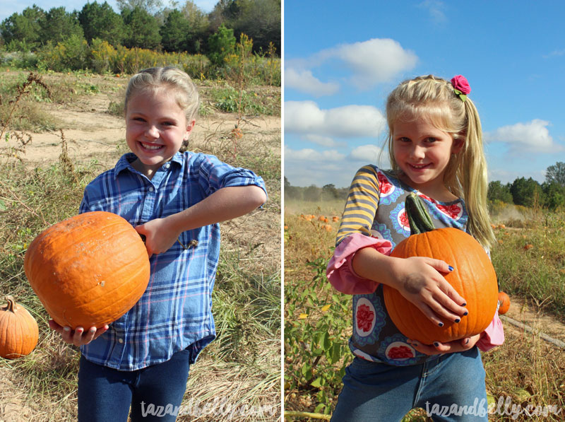 Old Baker Farm Pumpkin Patch | tazandbelly.com