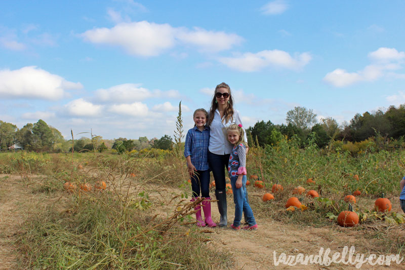 Old Baker Farm Pumpkin Patch | tazandbelly.com