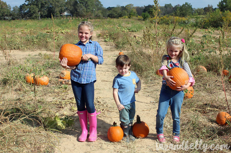 Old Baker Farm Pumpkin Patch | tazandbelly.com