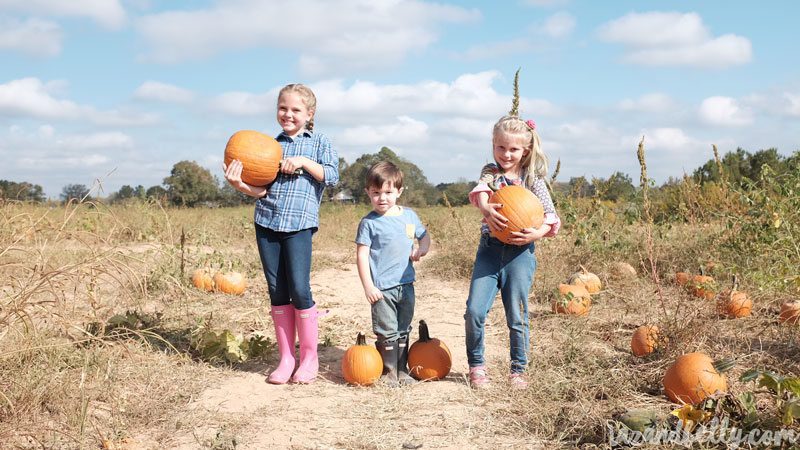 Old Baker Farm Pumpkin Patch | tazandbelly.com