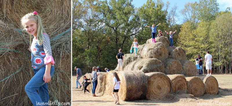 Old Baker Farm Pumpkin Patch | tazandbelly.com