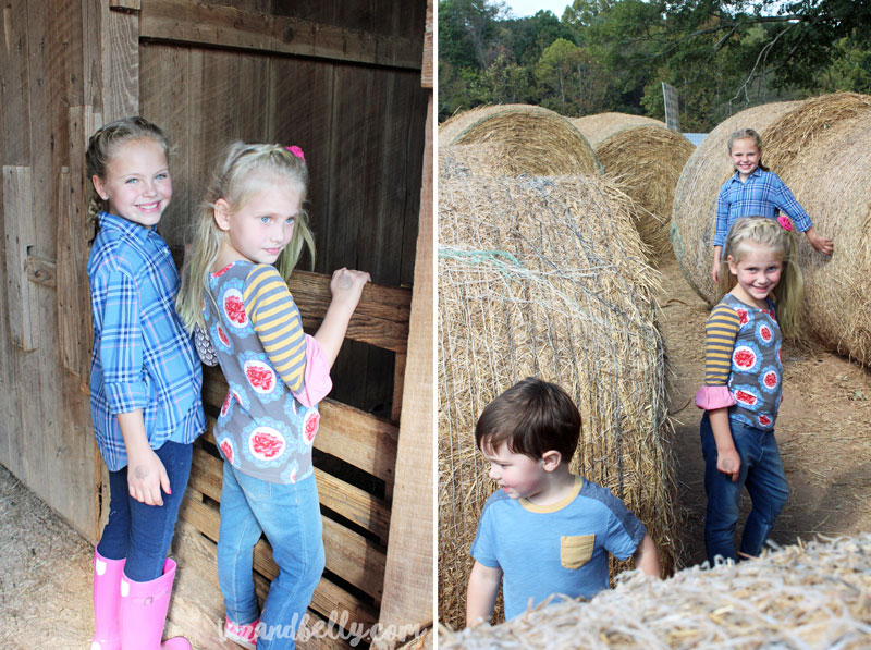 Old Baker Farm Pumpkin Patch | tazandbelly.com