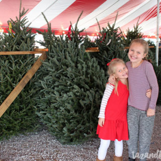 Finding Our Christmas Tree | Vlog