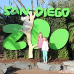 Travel Diary | San Diego + La Jolla