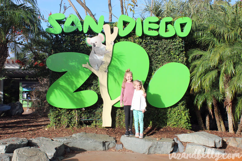 Travel Diary: San Diego Zoo | tazandbelly.com