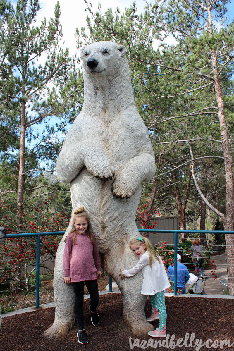 Travel Diary: San Diego Zoo | tazandbelly.com