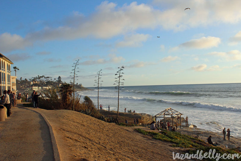 Travel Diary: San Diego Zoo | tazandbelly.com