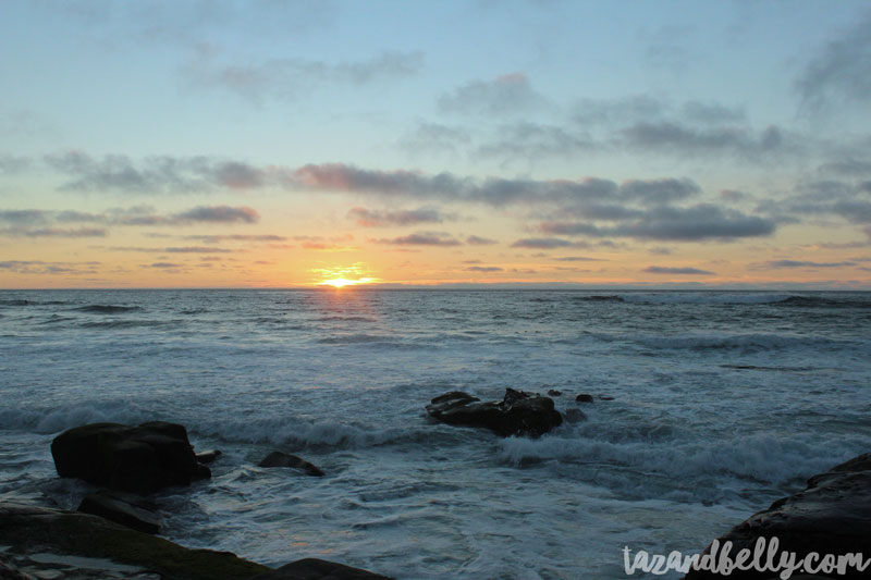 Travel Diary: San Diego Zoo | tazandbelly.com