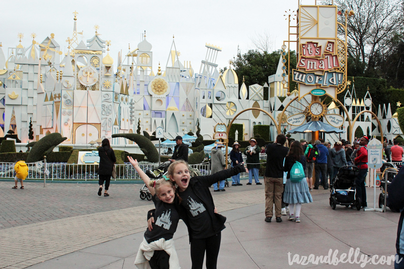 Travel Diary: Disneyland | tazandbelly.com