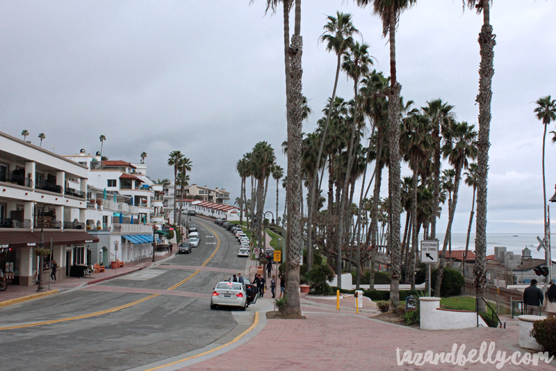 Travel Diary: San Clemente | tazandbelly.com