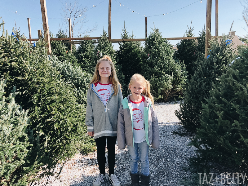 Best November Moments | tazandbelly.com