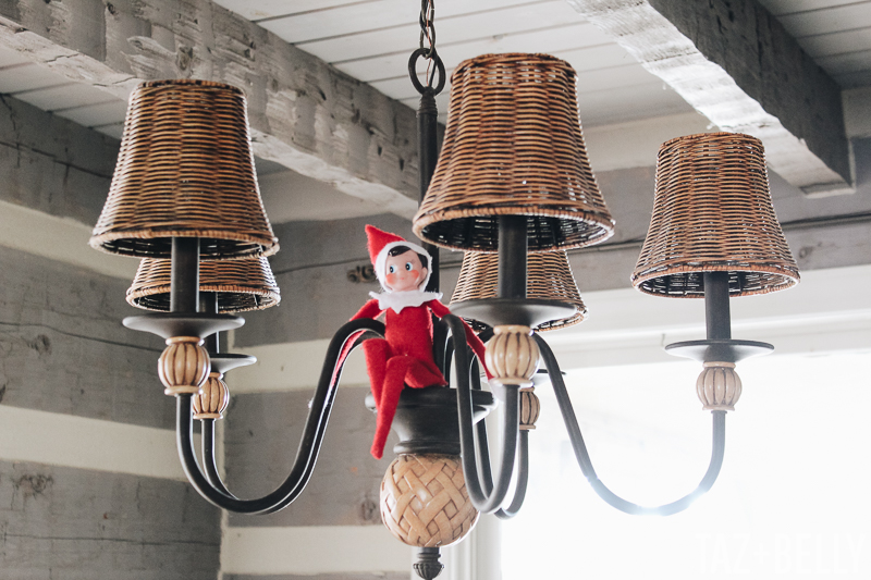 Our Holiday Home | tazandbelly.com