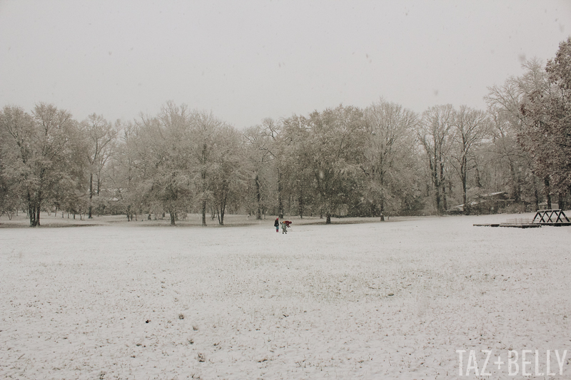 The Daily Dime: December Snow Storm 2017 | tazandbelly.com