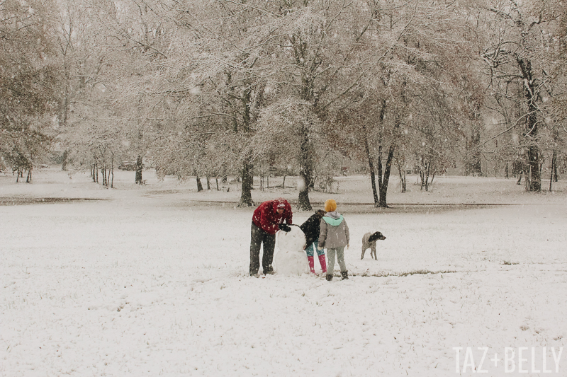 The Daily Dime: December Snow Storm 2017 | tazandbelly.com