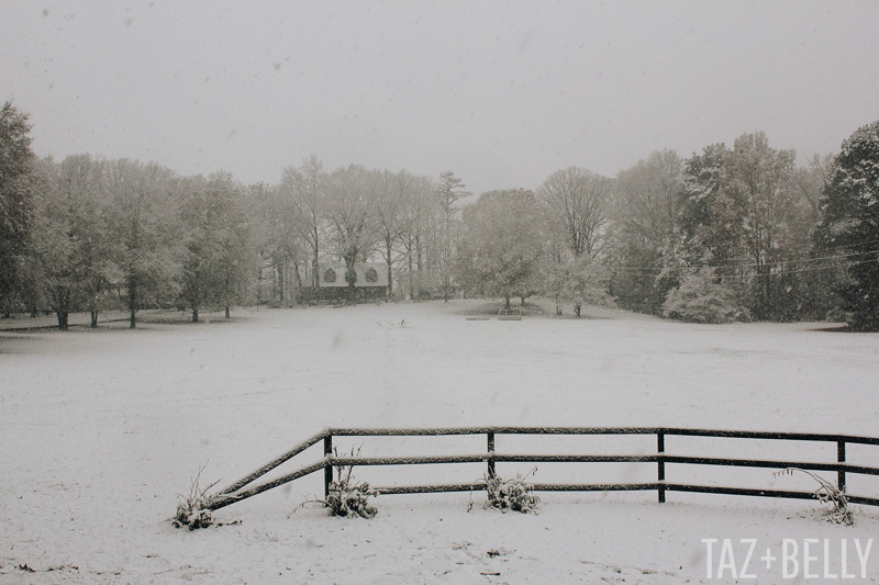 The Daily Dime: December Snow Storm 2017 | tazandbelly.com