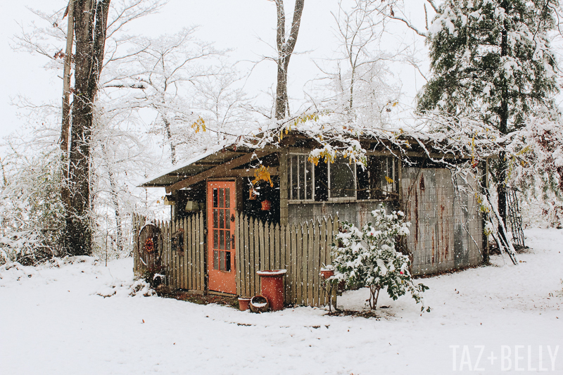 The Daily Dime: December Snow Storm 2017 | tazandbelly.com