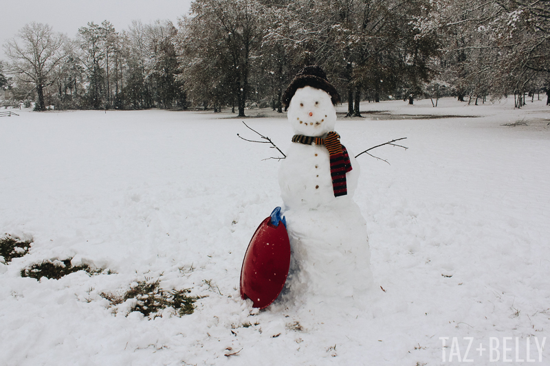 The Daily Dime: December Snow Storm 2017 | tazandbelly.com