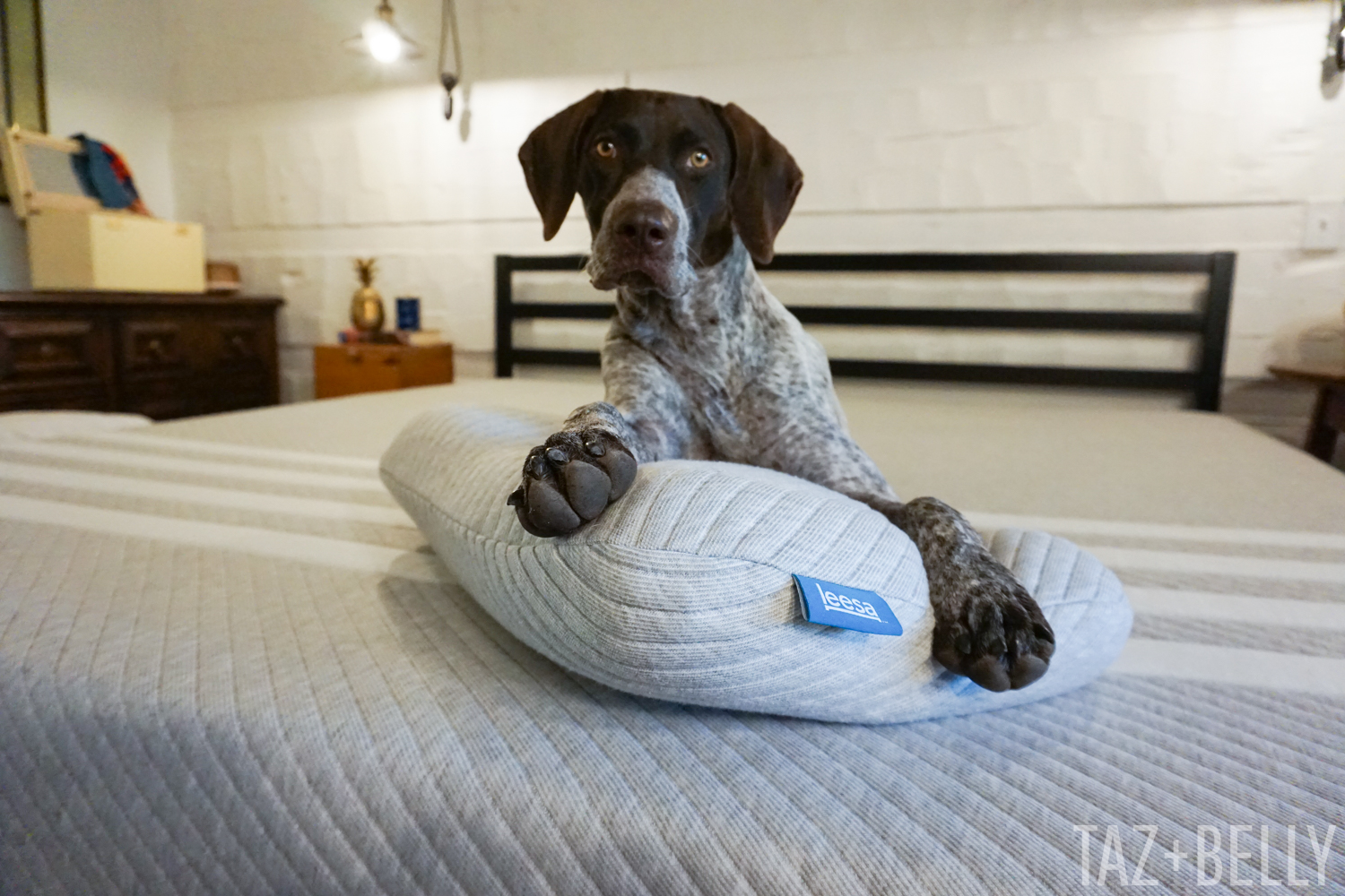 Master Bedroom Update: Part Two | tazandbelly.com