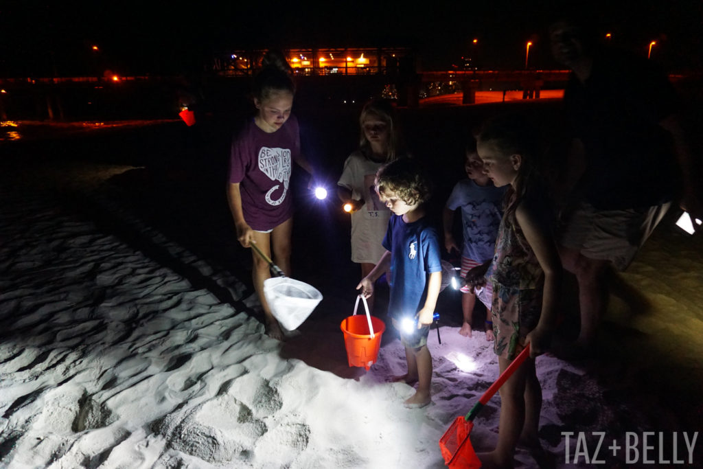 Gulf Shores Vacation 2018 | tazandbelly.com