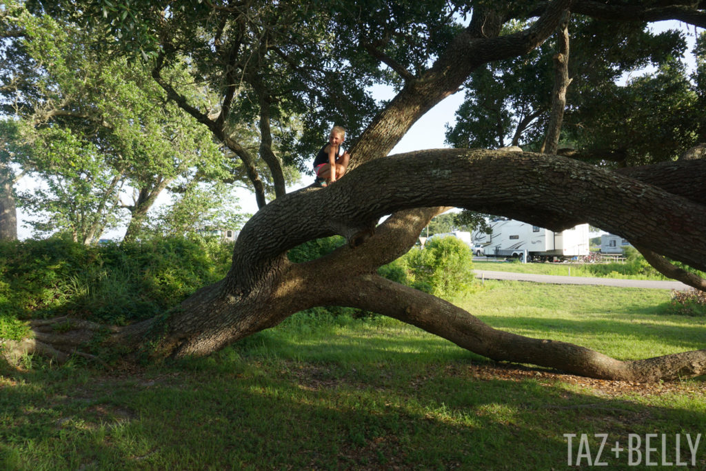 Gulf Shores Vacation 2018 | tazandbelly.com