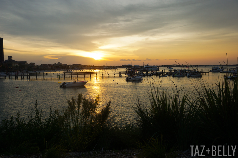 The Daily Dime: July 2018 - Pensacola | tazandbelly.com