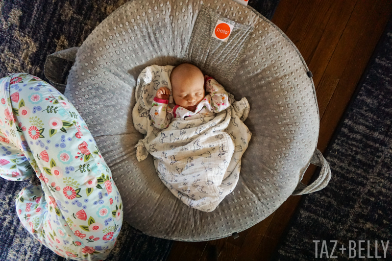 Polly's First Bath | tazandbelly.com