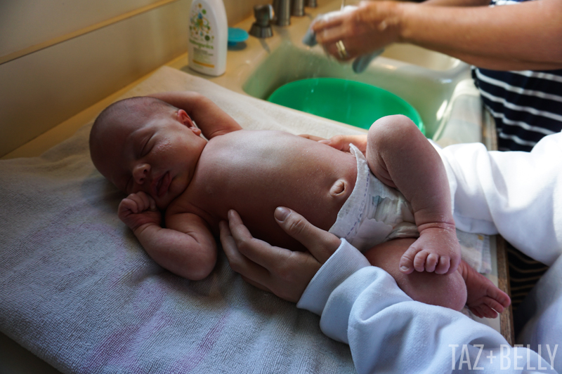 Polly's First Bath | tazandbelly.com