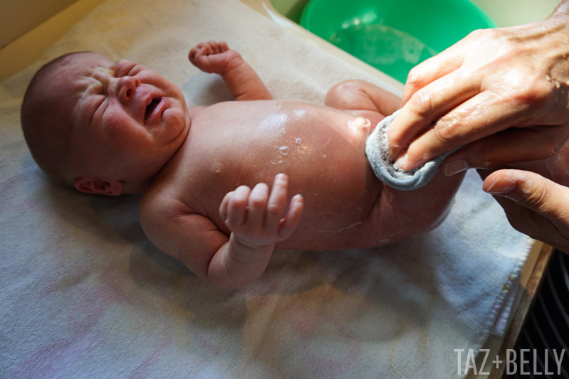 Polly's First Bath | tazandbelly.com