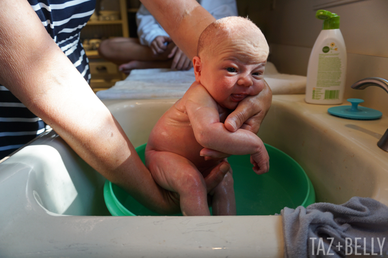 Polly's First Bath | tazandbelly.com