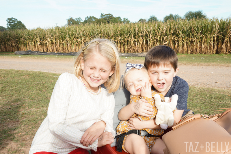 Old Baker's Farm Pumpkin Patch | tazandbelly.com