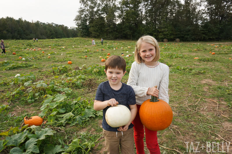 Old Baker's Farm Pumpkin Patch | tazandbelly.com