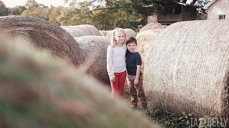 Old Baker's Farm Pumpkin Patch | tazandbelly.com