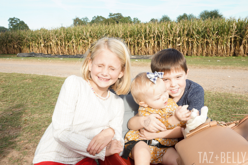 Old Baker's Farm Pumpkin Patch | tazandbelly.com