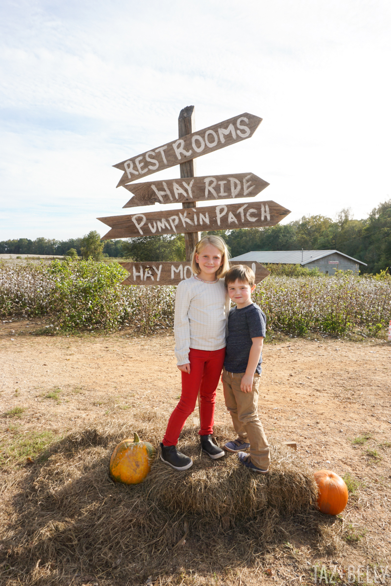 Old Baker's Farm Pumpkin Patch | tazandbelly.com