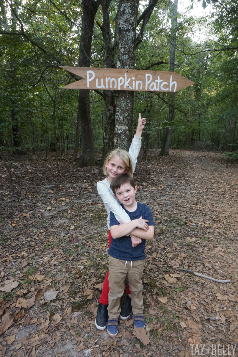 Old Baker's Farm Pumpkin Patch | tazandbelly.com