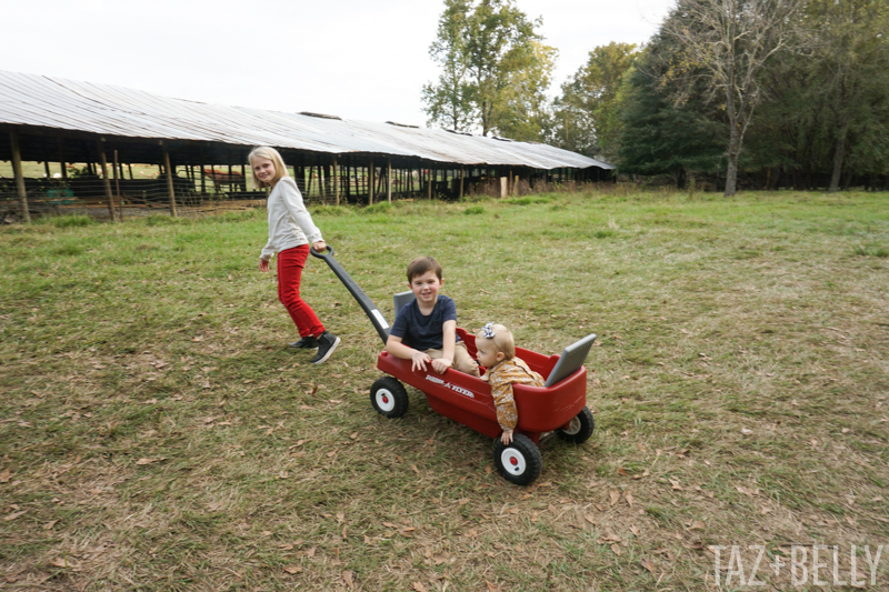 Old Baker's Farm Pumpkin Patch | tazandbelly.com