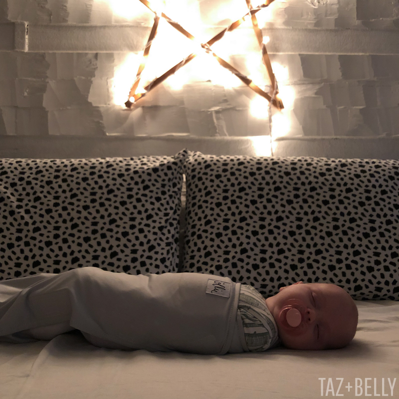 Ollie Swaddle | tazandbelly.com