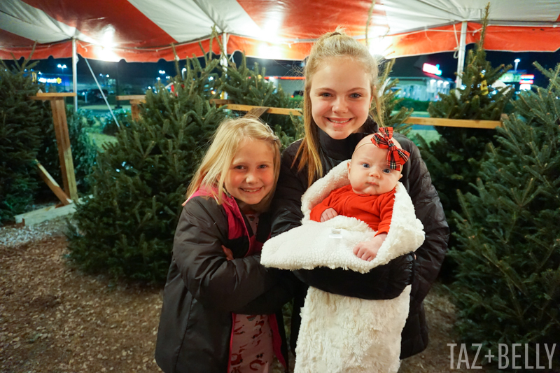 Christmas Tree Tent | tazandbelly.com