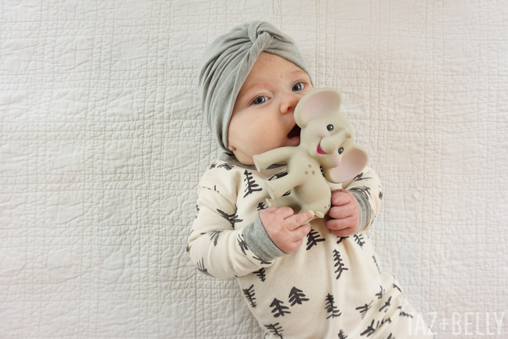 Four Months with Polly | tazandbelly.com
