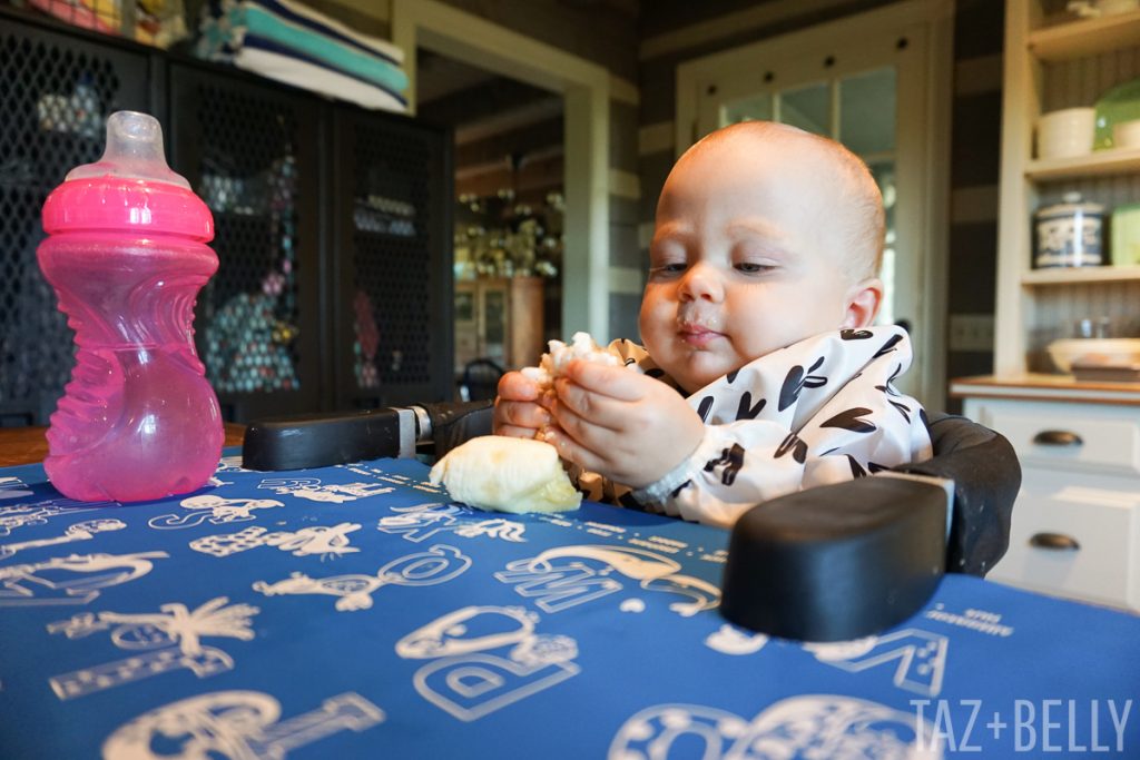 Baby Led Weaning | tazandbelly.com