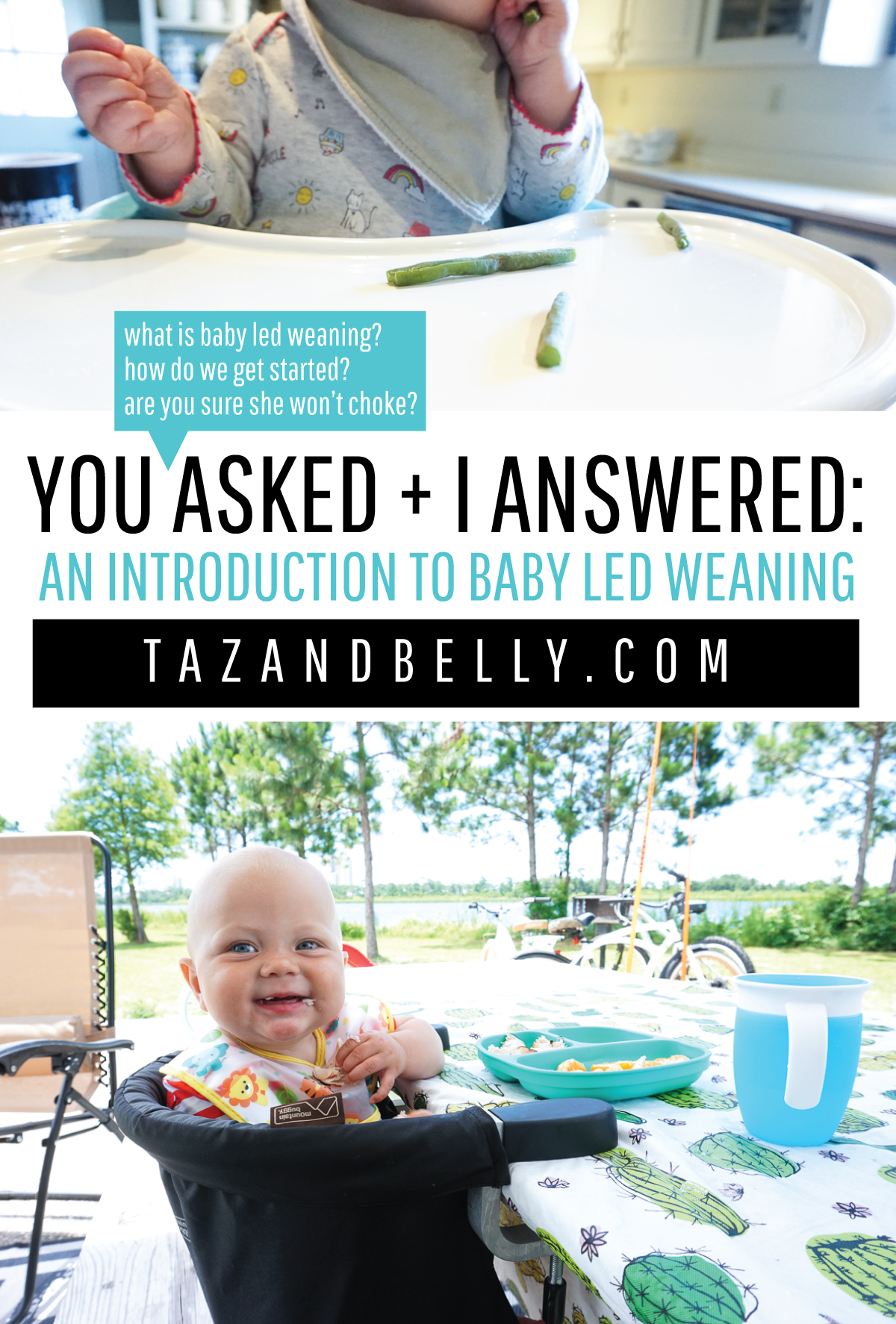 Baby Led Weaning | tazandbelly.com