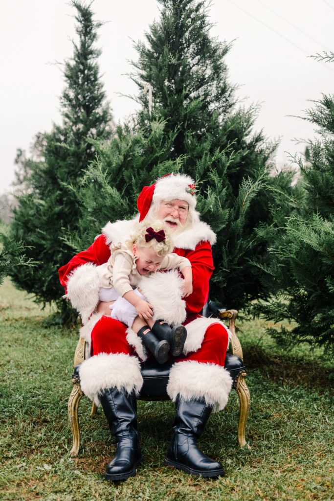 Santa on the Farm | tazandbelly.com