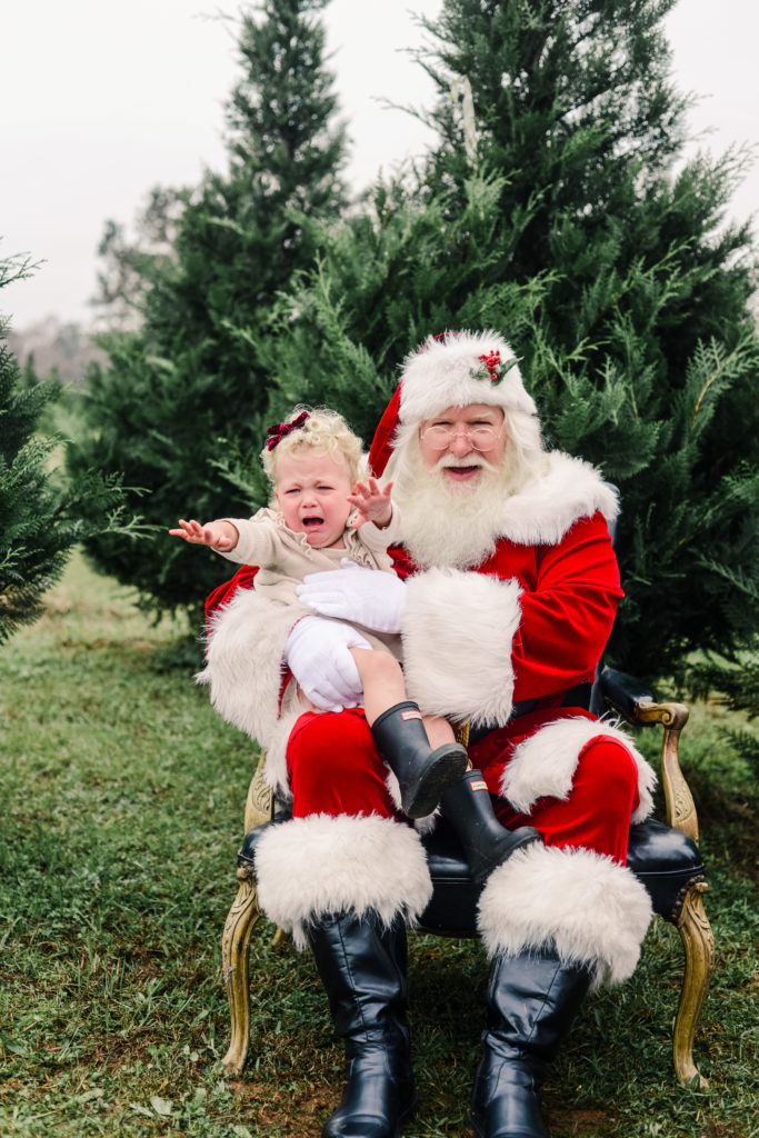 Santa on the Farm | tazandbelly.com