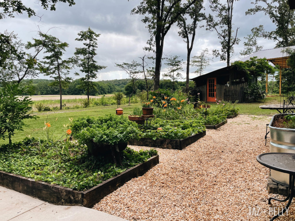 Monday's Garden | tazandbelly.com