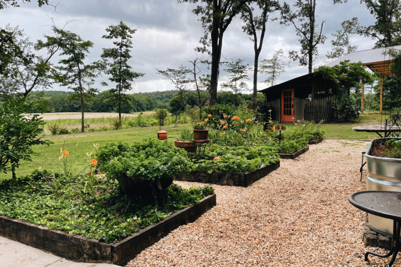 Monday's Garden | tazandbelly.com